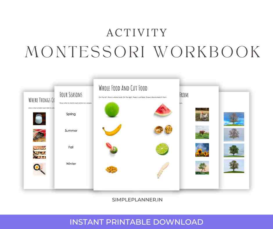 Montessori activity